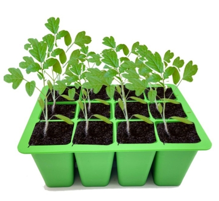 Piatti di piante di silicone Capoti Piatti di germinazione di semi resistenti alla corrosione per serra