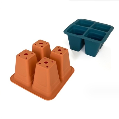 Telaio di germinazione per seme riutilizzabile Telaio di germinazione per seme da giardino in silicone