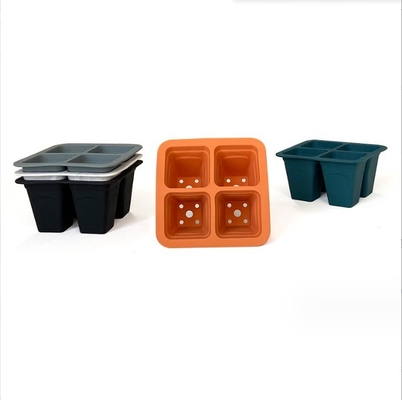 Telaio di germinazione per seme riutilizzabile Telaio di germinazione per seme da giardino in silicone